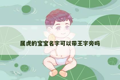 属虎的宝宝名字可以带王字旁吗