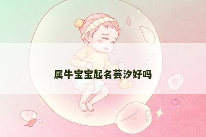 属牛宝宝起名芸汐好吗