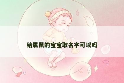 给属鼠的宝宝取名字可以吗