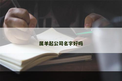 属羊起公司名字好吗