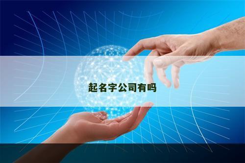 起名字公司有吗