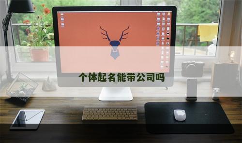 个体起名能带公司吗