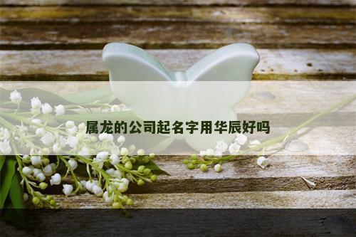 属龙的公司起名字用华辰好吗