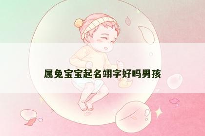 属兔宝宝起名翊字好吗男孩