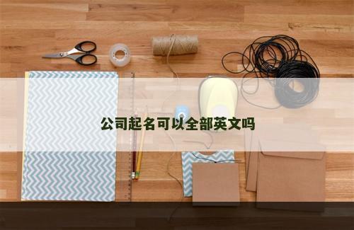 公司起名可以全部英文吗