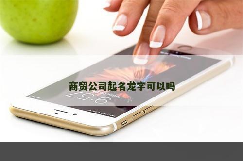 商贸公司起名龙字可以吗