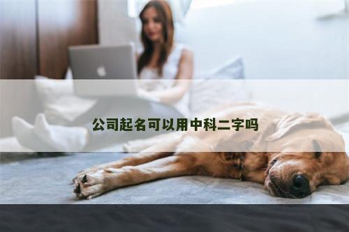 公司起名可以用中科二字吗