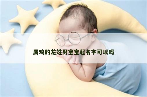 属鸡的龙姓男宝宝起名字可以吗
