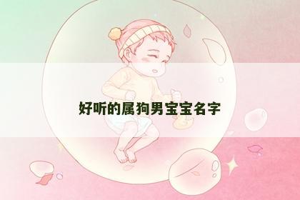 好听的属狗男宝宝名字