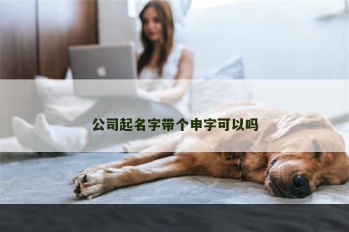 公司起名字带个申字可以吗