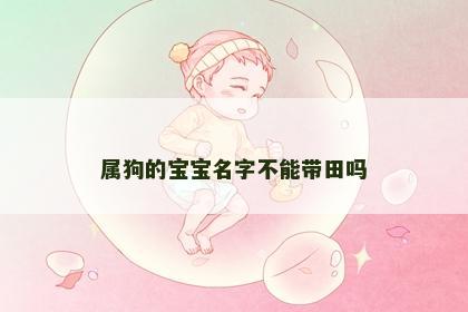 属狗的宝宝名字不能带田吗