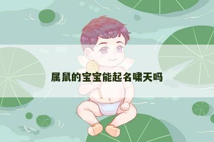 属鼠的宝宝能起名啸天吗