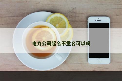 电力公司起名不重名可以吗
