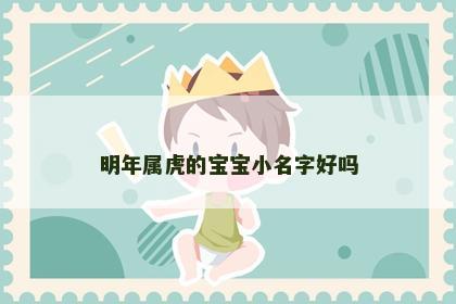 明年属虎的宝宝小名字好吗