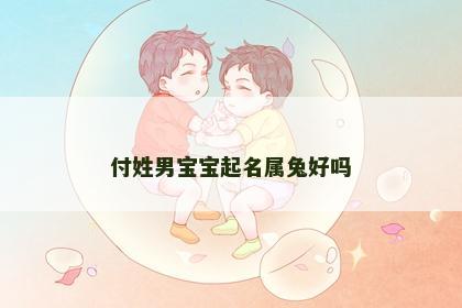 付姓男宝宝起名属兔好吗