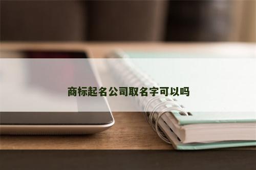 商标起名公司取名字可以吗