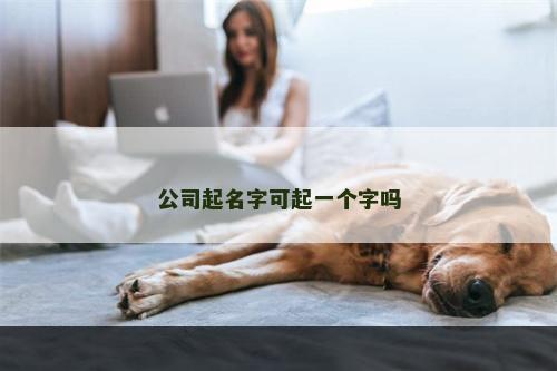 公司起名字可起一个字吗