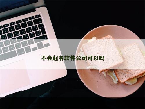 不会起名软件公司可以吗
