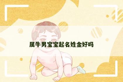 属牛男宝宝起名姓金好吗