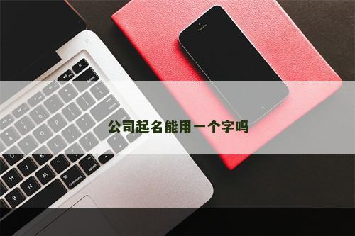 公司起名能用一个字吗