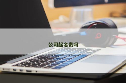 公司起名贵吗