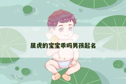 属虎的宝宝乖吗男孩起名