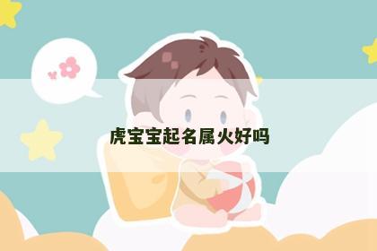 虎宝宝起名属火好吗