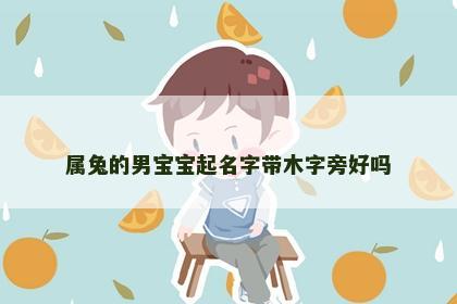 属兔的男宝宝起名字带木字旁好吗