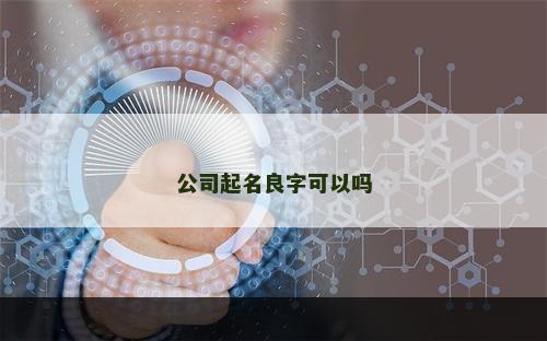 公司起名良字可以吗