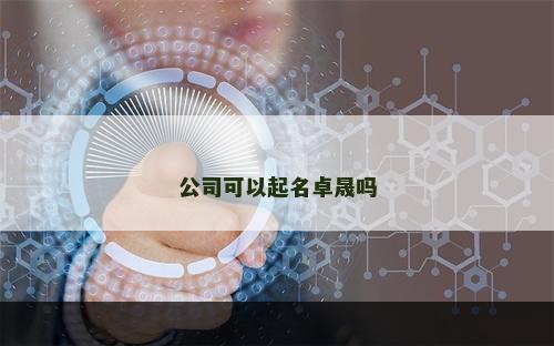公司可以起名卓晟吗