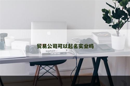 贸易公司可以起名实业吗
