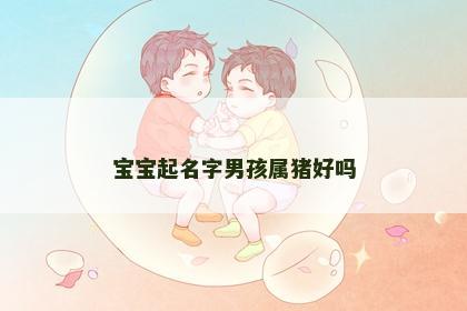 宝宝起名字男孩属猪好吗