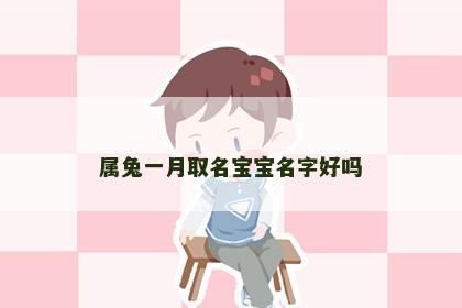 属兔一月取名宝宝名字好吗