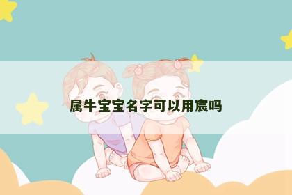 属牛宝宝名字可以用宸吗