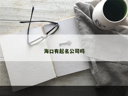 海口有起名公司吗