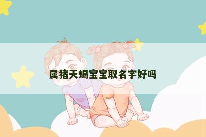 属猪天蝎宝宝取名字好吗