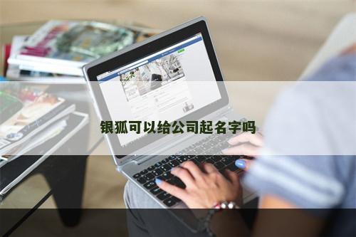 银狐可以给公司起名字吗