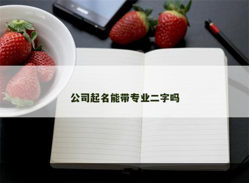 公司起名能带专业二字吗