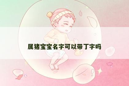 属猪宝宝名字可以带丁字吗