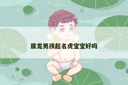 属龙男孩起名虎宝宝好吗