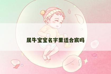 属牛宝宝名字里适合宸吗