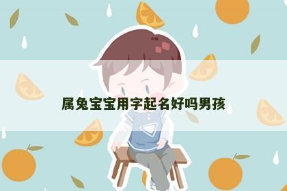 属兔宝宝用字起名好吗男孩