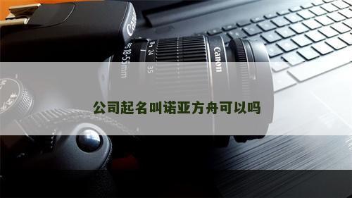 公司起名叫诺亚方舟可以吗