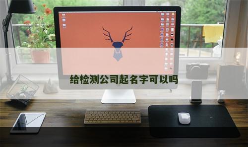 给检测公司起名字可以吗