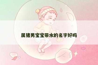 属猪男宝宝带水的名字好吗