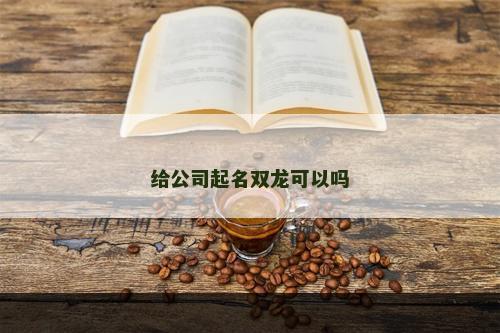 给公司起名双龙可以吗