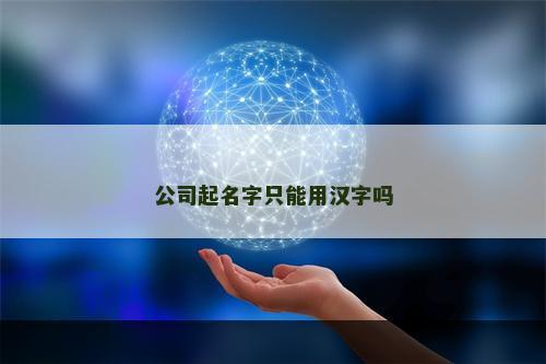 公司起名字只能用汉字吗