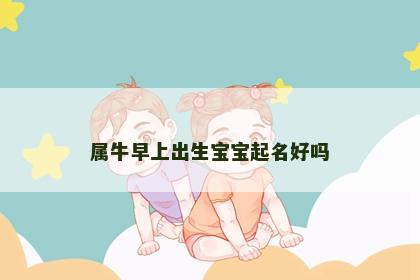 属牛早上出生宝宝起名好吗