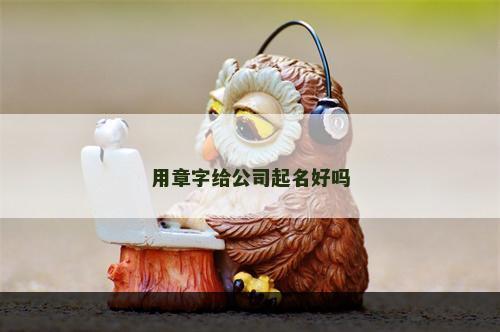 用章字给公司起名好吗