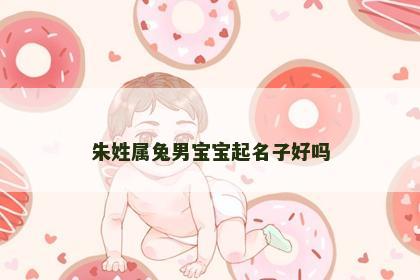 朱姓属兔男宝宝起名子好吗